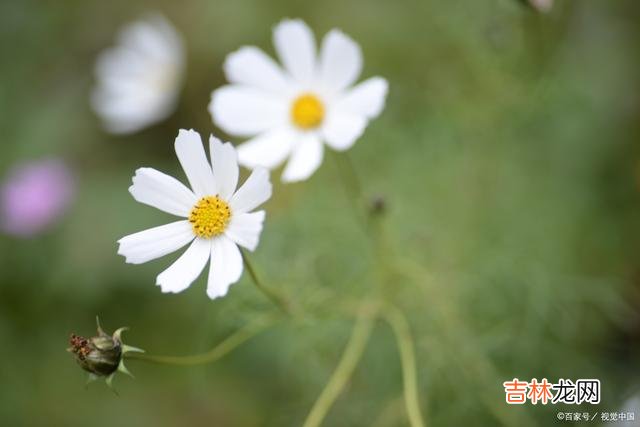 都说婚姻是女人的第二次投胎 婚姻中，这样的男人，多半是没什么出息