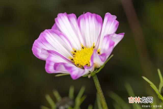 01引言一份好的感情 男人对你忽冷忽热，女人一定要明白这些表现
