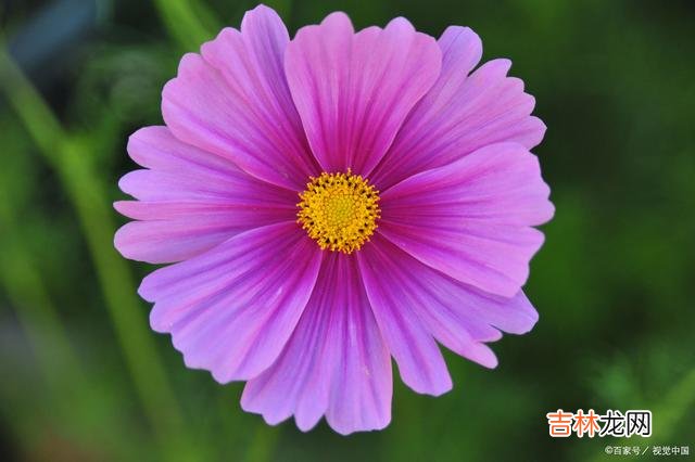 01引言一份好的感情 男人对你忽冷忽热，女人一定要明白这些表现