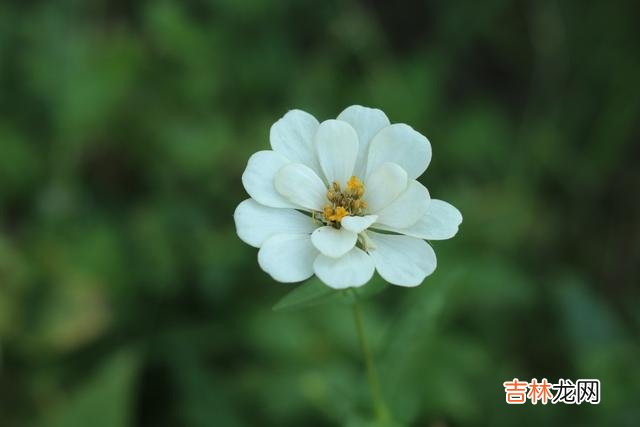 01引言一份好的感情 男人对你忽冷忽热，女人一定要明白这些表现