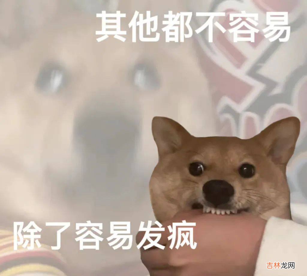 谈什么恋爱啊,00后现在只想找“饭搭子”