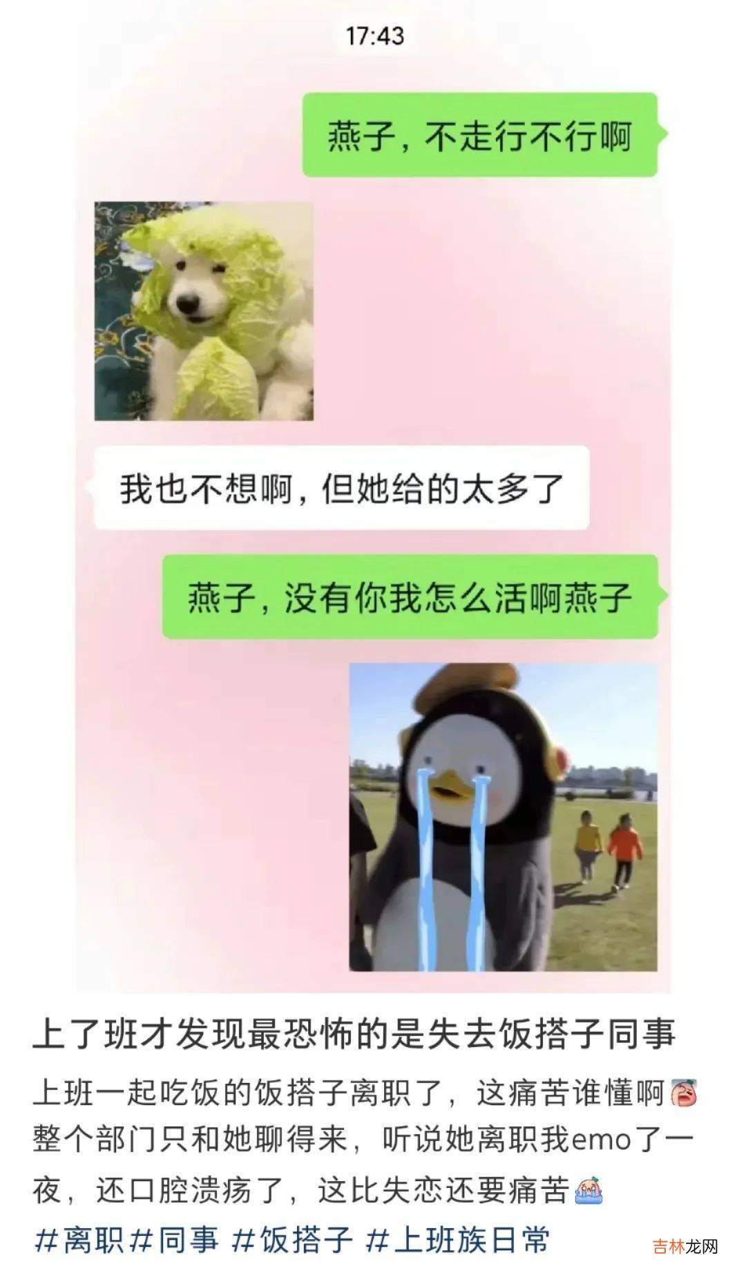 谈什么恋爱啊,00后现在只想找“饭搭子”