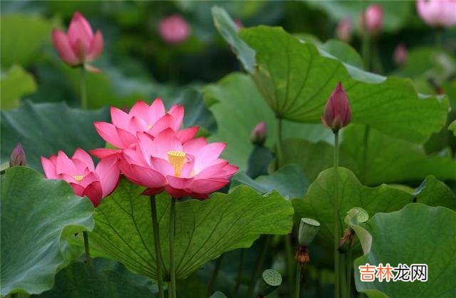 时光如梭 人过四十岁，这几种“感情”，就随缘吧