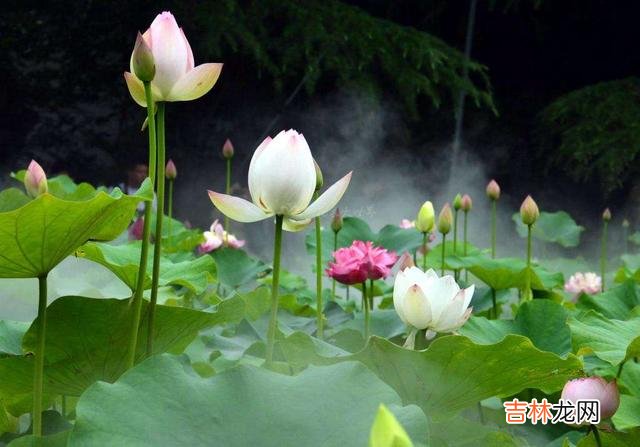 时光如梭 人过四十岁，这几种“感情”，就随缘吧