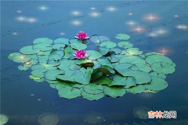 人生如粥 心理学:人生如粥,吃苦之后,会让我们更加落寞