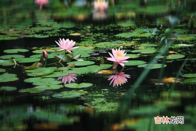我们都是“有情生”。|没钱了，你会看清三种“情”