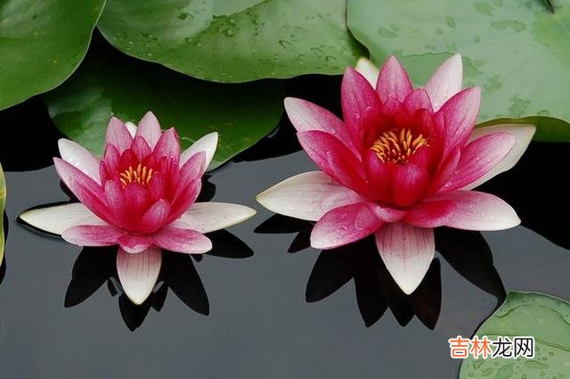 我们都是“有情生”。|没钱了，你会看清三种“情”