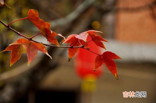 生而为人 落魄的时候，不要“讨好”别人，很容易面对这三种结局