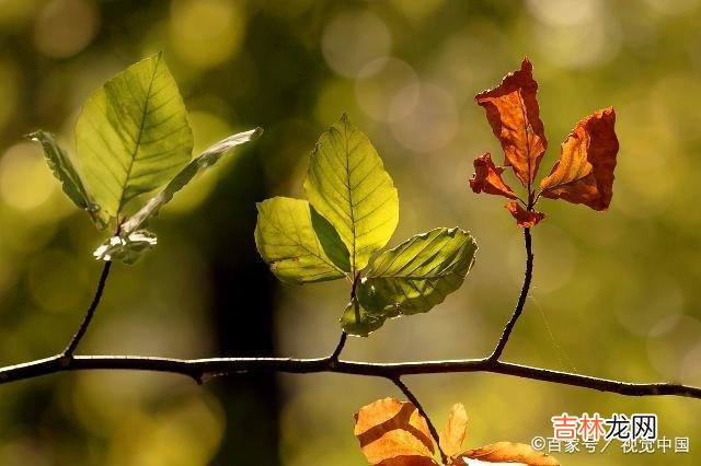 小雨说自己和老公自从有了孩子以后 有了孩子以后，夫妻两个人分房睡，可能会产生的不好的后果