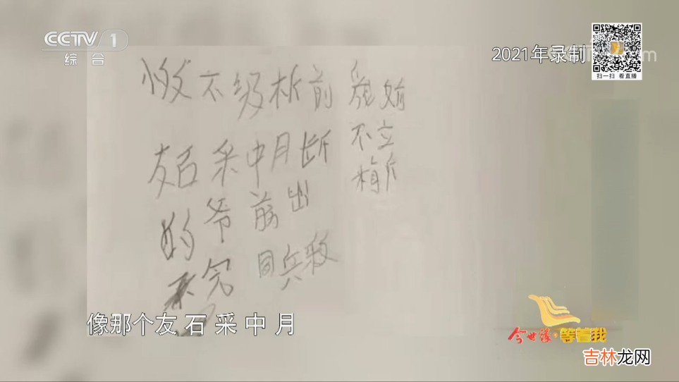 等着我：婆婆给新婚的儿媳下马威，儿媳却17年帮助婆婆寻亲