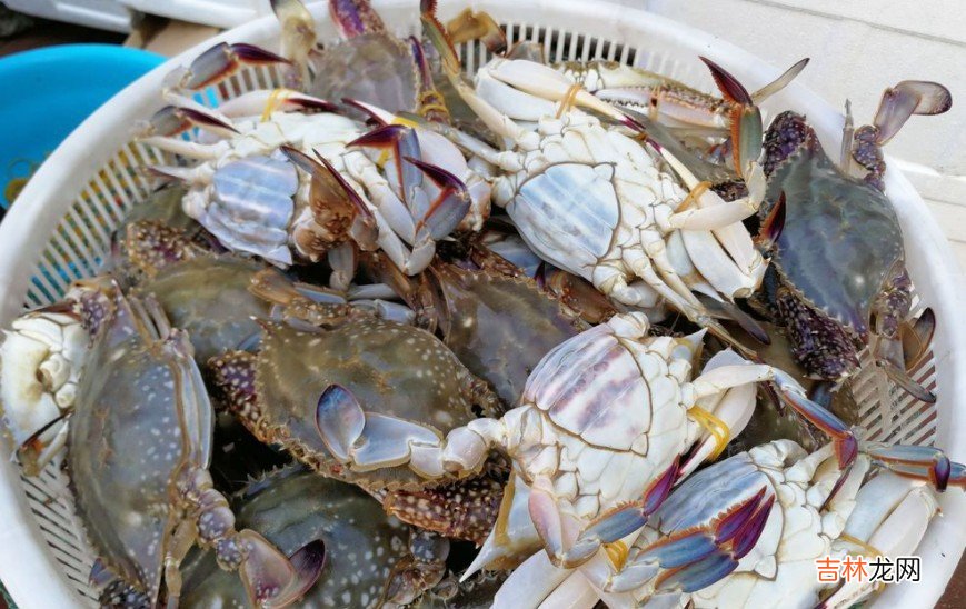 梭子蟹和白蟹有什么区别吗 梭子蟹和白蟹有何不同