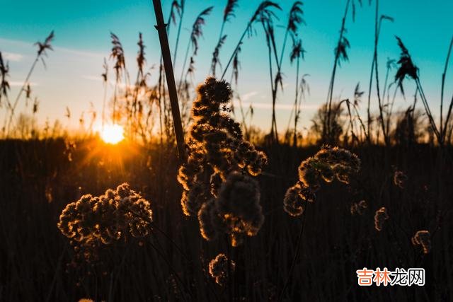 人生的路很漫长，无论怎么选择，我们都要走向成熟的
