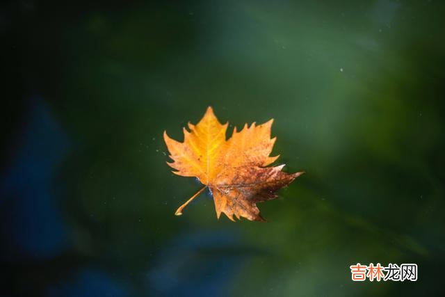 人生的路很漫长，无论怎么选择，我们都要走向成熟的