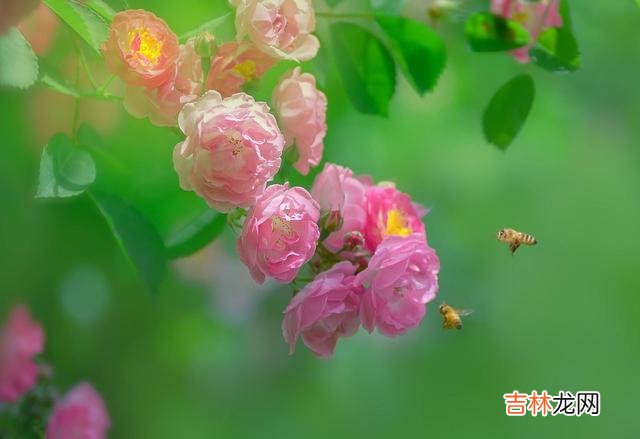 我期待着，守候着，只盼你突然给我惊喜