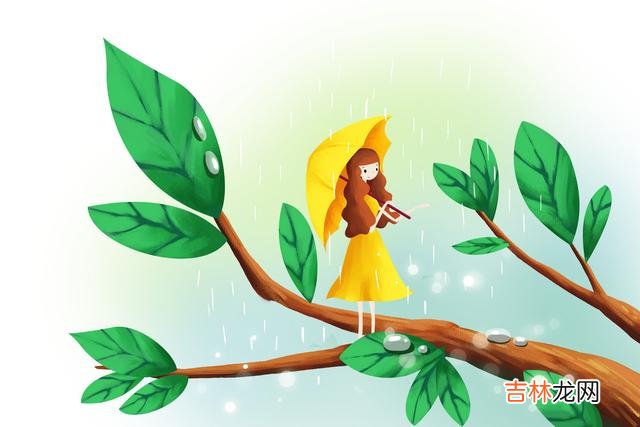 听雨是一种宣泄 有雨声相伴的夜，连睡眠质量也会比平常好很多很多