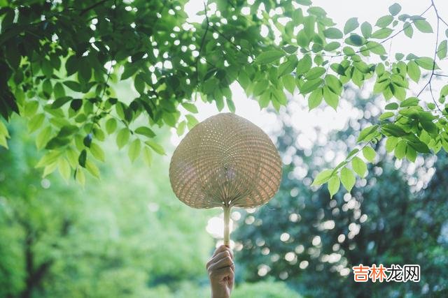 暮春悄然而逝 愿暮春的风带走所有的忧愁，愿初夏的风带走所有的忧愁