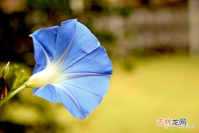 近年来 男人有种做法比“背叛”更伤人，不值得你一忍再忍