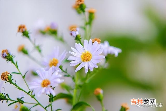 很多男人认为 再爱一个女人，也别用三种方式去爱，她不会把你当回事的