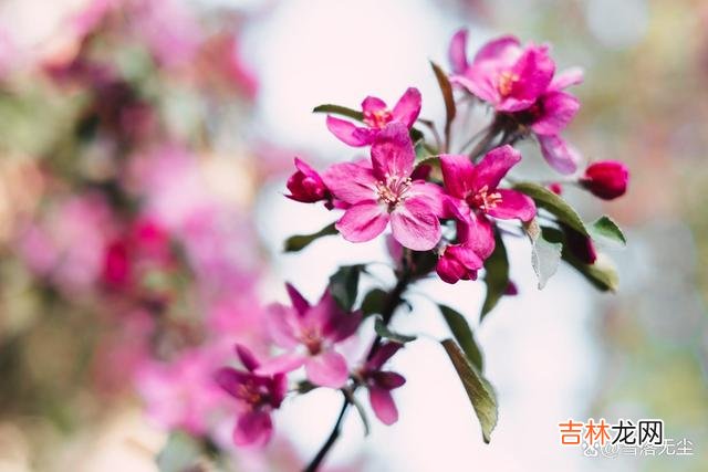 无论男女 爱上一个人，若不开始跟他要太热情，有3句话请时刻牢记