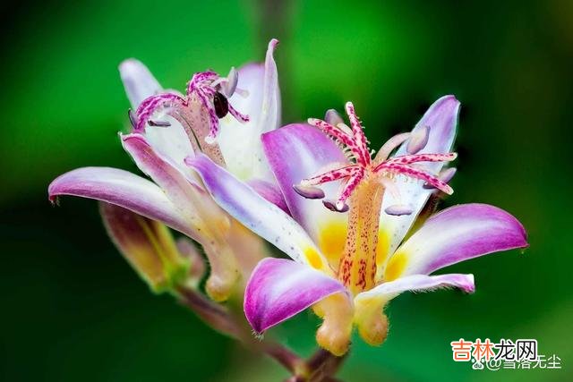 众所周知 结婚前，男方家里有这3件事，是女人该有的“算计”