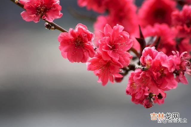 婚姻是是神圣的 男人背叛了自己,有种表现很明显,你发现了吗