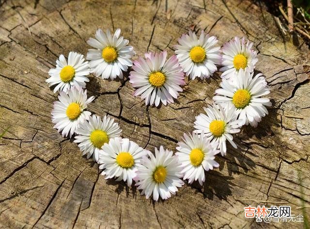 爱情是世界上最经不起考验的东西 有些底线,你守得越牢,越能得到男人的真心