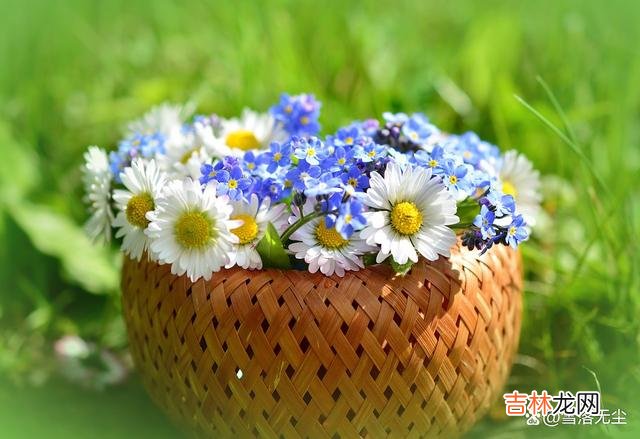 爱情是世界上最经不起考验的东西 有些底线,你守得越牢,越能得到男人的真心