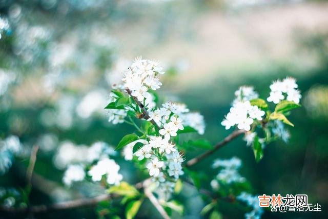 当一个男人做了错事 男人背叛了婚姻，只要你打电话问他这几个问题，一试便知