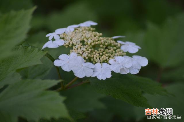 有人说：“婚姻类似于炒股 儿女找对象，做父母的要把好关，有种家庭真的不能选