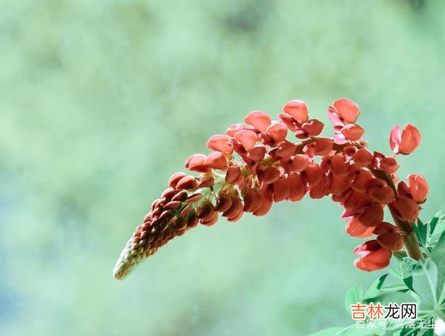 有人说：“婚姻类似于炒股 儿女找对象，做父母的要把好关，有种家庭真的不能选