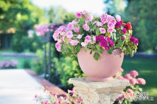 金星曾说过:“爱情可以抛开生活去谈 如果你老公是以下几种,婚姻多半过不到头,早做打算吧