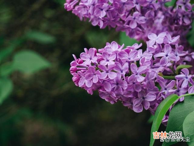 金星曾说过:“爱情可以抛开生活去谈 如果你老公是以下几种,婚姻多半过不到头,早做打算吧