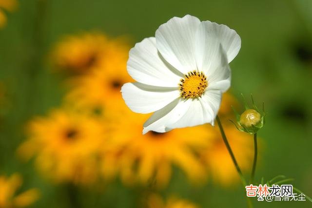 现在 婚姻出现以下状况，说明已危机四伏，恐怕是早晚的事