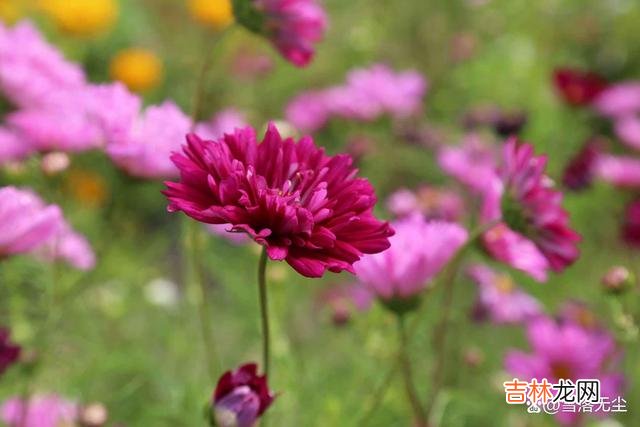现在 婚姻出现以下状况，说明已危机四伏，恐怕是早晚的事