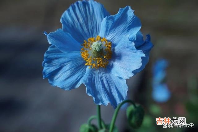 现在 婚姻出现以下状况，说明已危机四伏，恐怕是早晚的事