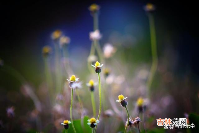 01前段时间看到一个新闻。|发现一个男人很“渣”，却又无力摆脱，女人该怎么办？