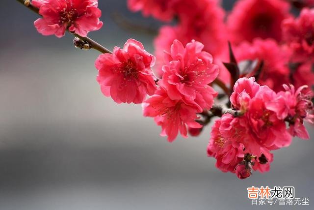 爱情面前 有几件事，男人越犹豫，越说明他不爱你