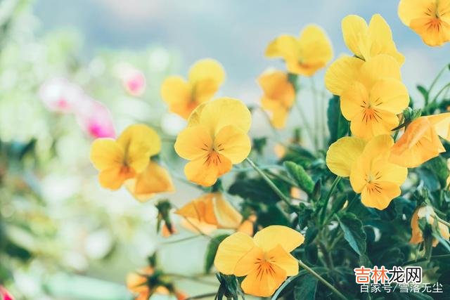 爱情面前 有几件事，男人越犹豫，越说明他不爱你