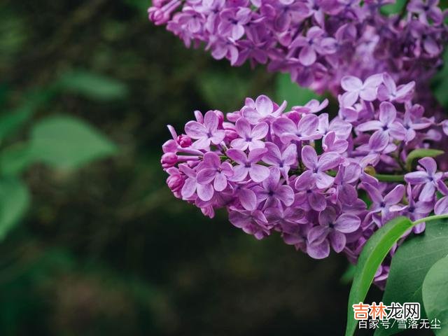 爱情面前 有几件事，男人越犹豫，越说明他不爱你