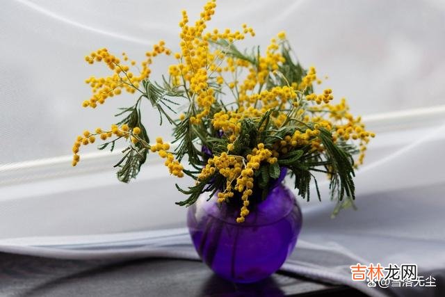有些男人 若想成功撩到喜欢的女生，需要4个必备条件，缺一不可