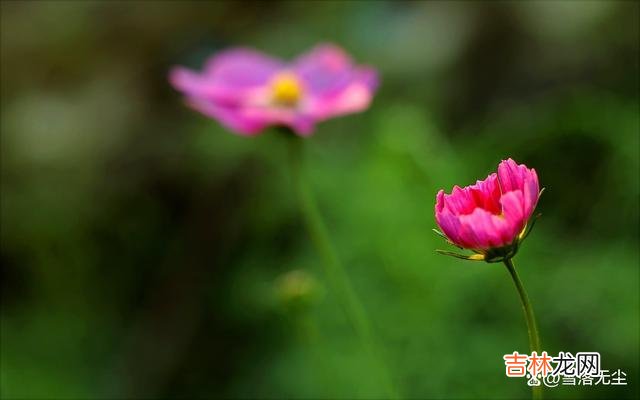 有些男人 若想成功撩到喜欢的女生,需要4个必备条件,缺一不可