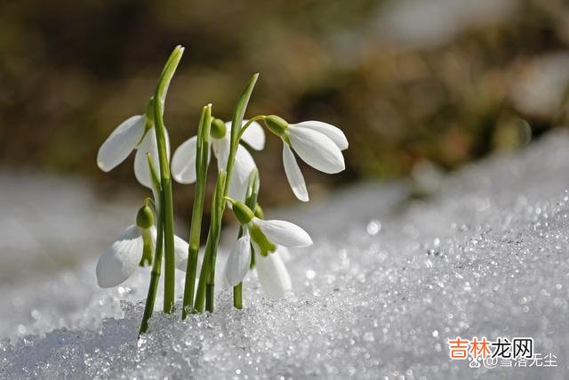 都说情侣之间谈钱见人品 男人给你发“微信红包”，说明他真的爱你