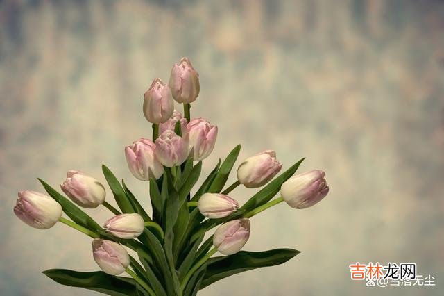 都说情侣之间谈钱见人品 男人给你发“微信红包”，说明他真的爱你