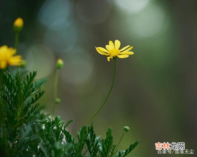 《无问西东》里刘淑芬对许伯常说：“外人只看我怎么打你骂你 如果有一天，你爱的男人变心了，做好一件事你便赢了