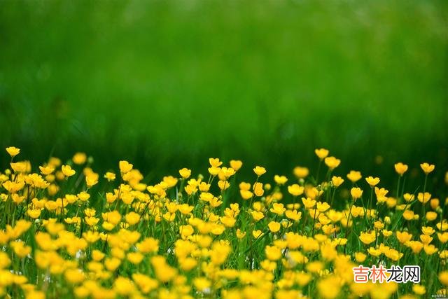 很多女人面对第三者插足的时候 婚姻被第三者插足,女人该去还是该留?聪明的做法往下看