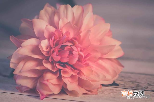 生活中 夫妻之间没什么感情,其实背后却藏着太多的风险