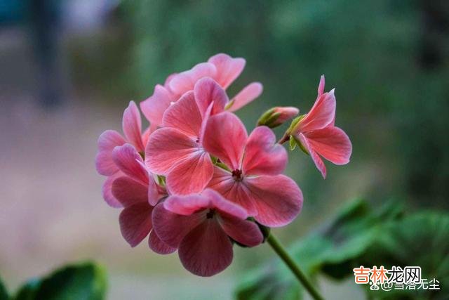 生活中 夫妻之间没什么感情,其实背后却藏着太多的风险