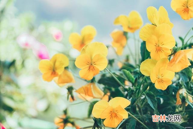 好的爱情是什么样的？《圣经》里有段话给出了最好的诠释：“凡事包容 无论谁的爱情，都会经历3场考验，扛过去才能一生一世