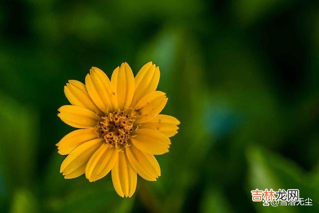 好的爱情是什么样的？《圣经》里有段话给出了最好的诠释：“凡事包容 无论谁的爱情，都会经历3场考验，扛过去才能一生一世