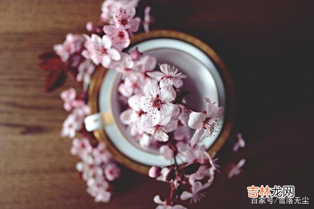 婚姻是神圣而庄严的 过来人的忠告：哪怕将就，也别离婚